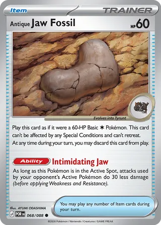 Antique Jaw Fossil - 068/088 - Perfect Order