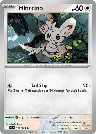 Minccino - 075/086 - Black Bolt