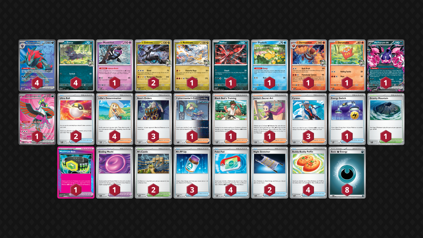 N's Zoroark Set