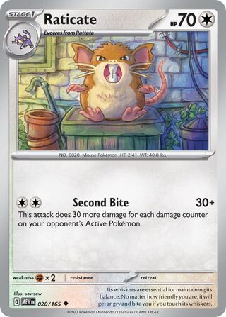 Raticate - 020/165 - 151 