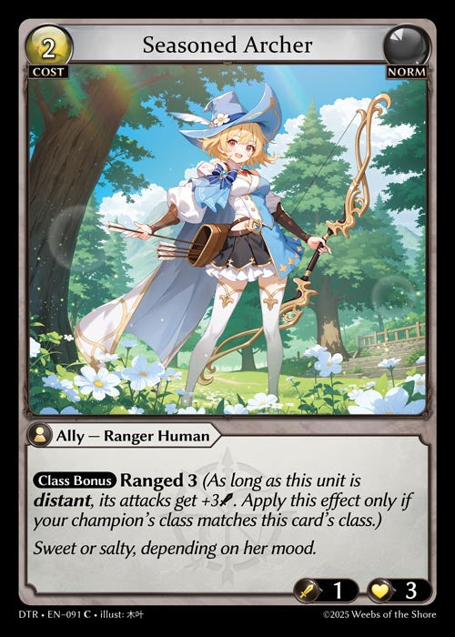 Seasoned Archer - Distorted Reflections